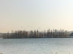 -东湖落雁景区