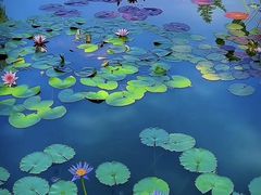 -国家植物园南园