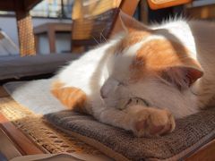 -三忘湖 SWANSEEN(柳荫公园店)