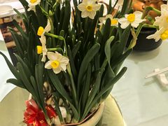 -南宁荔园维景国际酒店·荔园中餐厅