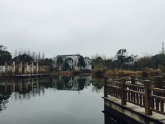 -上海长兴岛郊野公园