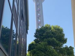 -东方明珠广播电视塔