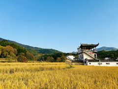 -塔川景区