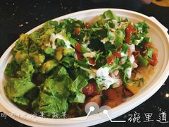 -油梨树AVOCADO TREE(顺义新国展店)