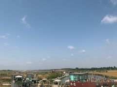 -空港花田景区