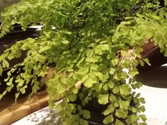 -南堂館川菜文化餐厅(天府店)