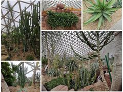 -上海辰山植物园