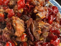 -食神又名厕所兔