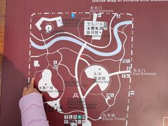 -金沙遗址博物馆