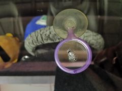 -鲨鱼皮汽车凹陷玻璃修复(静安店)