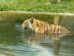 -泉州海丝野生动物世界