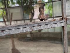 -厦门园林博览苑