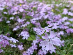 -南山风景名胜区