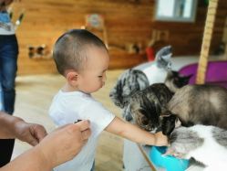 -萌宠亲子动物乐园(槐房万达店)