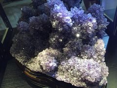 iphone_upload_pic-西安世博园