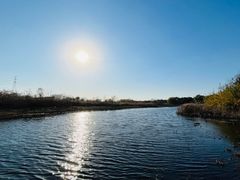 -同里国家湿地公园