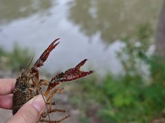 -洨河生态公园