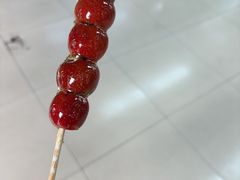 -和禄德冰糖葫芦(东四朝内菜市场店)