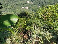 -广州市白云山风景名胜区