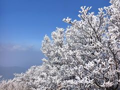 -大围山国家森林公园