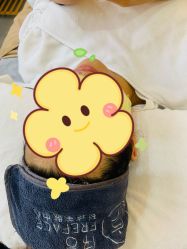 -序言科技美肤中心