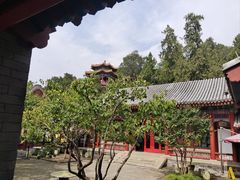 -宫事颐庭·老佛爷贵寿下午茶(颐和园店)