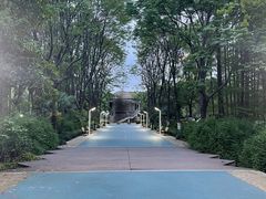 -苏州河梦清园环保主题公园