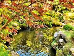 -城崎温泉 外七汤