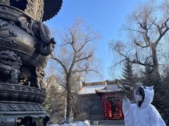-哈尔滨极乐寺
