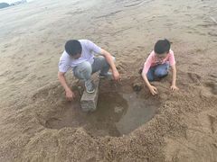 -厦门帝元维多利亚大酒店(环岛路黄厝海滩店)