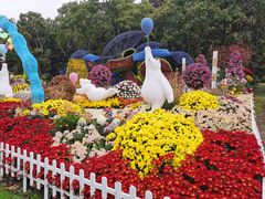 -上海共青森林公园