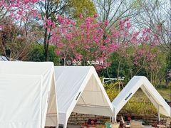 -梁鸿国家湿地公园