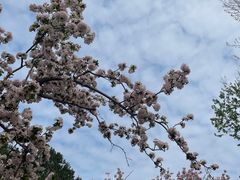 -海棠花溪(元大都城垣遗址公园)