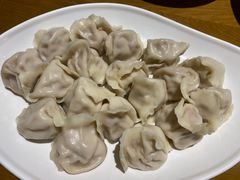 白菜鲜肉水饺-伊喜饺子·烤鸭(五道口学院路店)