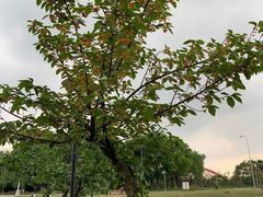 -国际非物质文化遗产博览园