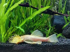 -上海海洋水族馆