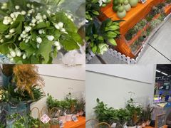 -盒马鲜生(宝地店)