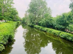 -长白岛森林公园