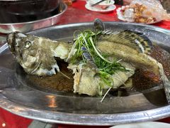 清蒸老虎斑-石岐乳鸽村(南海第三分店)