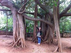 iphone_upload_pic-涠洲岛-圣母堂