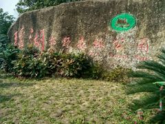 -瑶湖郊野森林公园