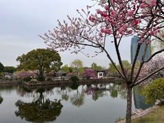 -无锡蠡湖国家湿地公园-蠡园