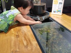 -红糖水都·女生特炖·中式滋补炖(北辰店)