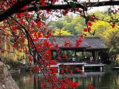 -棠湖公园