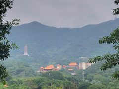 -深圳仙湖植物园