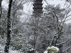 -都江堰景区