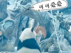-武汉动物园