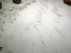 -绿茶餐厅(西湖银泰百货店)