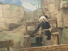 -无锡动物园·太湖欢乐园