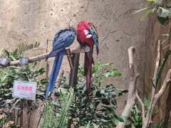 -杭州开元森泊度假乐园